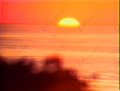 Il sole nella pelle
