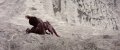 Satyricon
