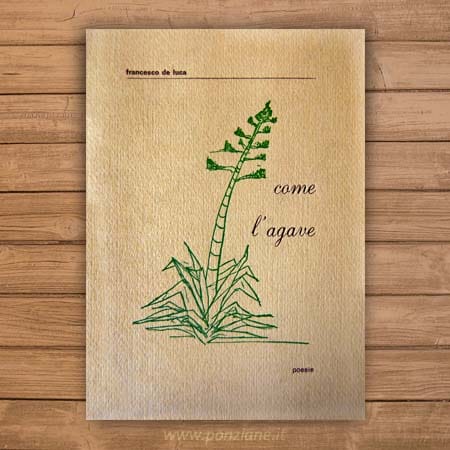 Come l'agave