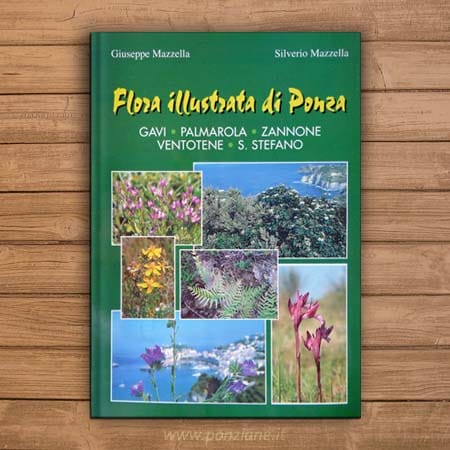 Flora illustrata di Ponza, Gavi, Palmarola, Zannone, Ventotene e S. Stefano