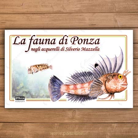 La fauna di Ponza