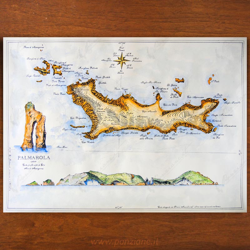 Palmarola