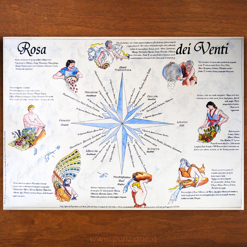 Rosa dei Venti